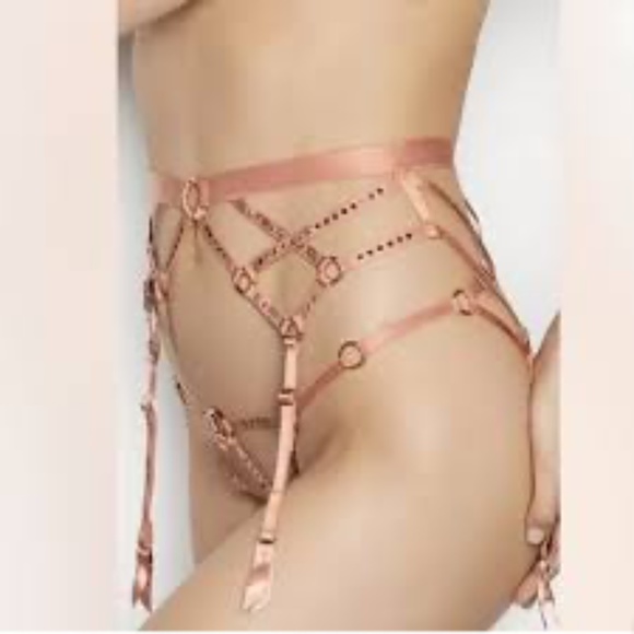 Victoria’s Secret Swarovski Crystal Pink satin w/crystals Bra and garter set NWT - Picture 7 of 8